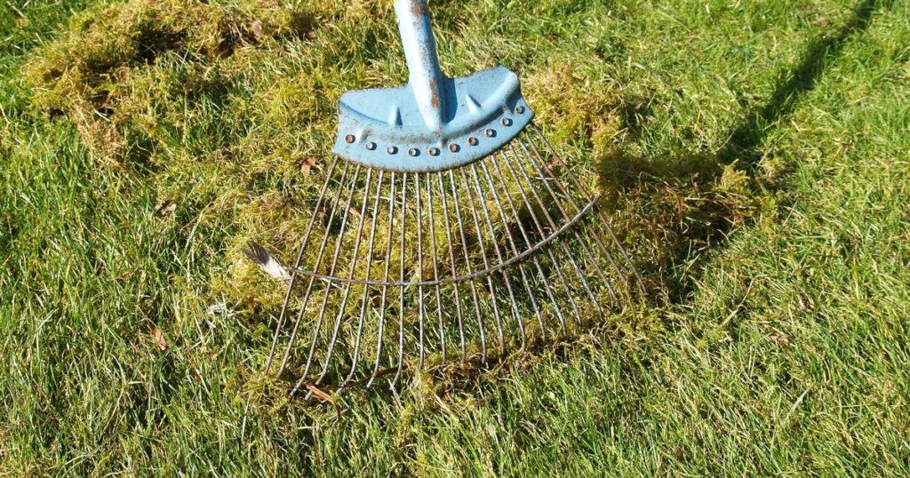 Banish moss with ‘easy’ homemade solution that ‘kills it in 24 hours’