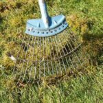 Banish moss with ‘easy’ homemade solution that ‘kills it in 24 hours’