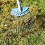 Banish moss with ‘easy’ homemade solution that ‘kills it in 24 hours’
